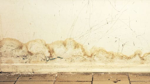 Rising Damp